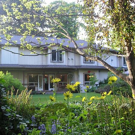 Cedar Wood Lodge Bed & Breakfast Inn Порт Алберни Екстериор снимка