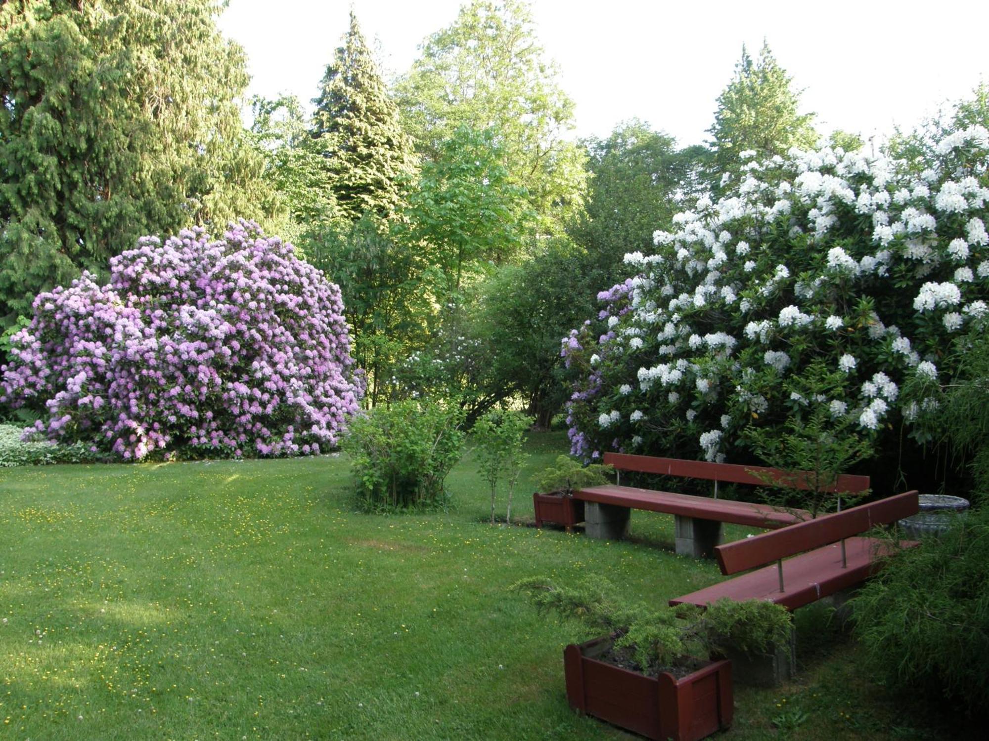 Cedar Wood Lodge Bed & Breakfast Inn Порт Алберни Екстериор снимка