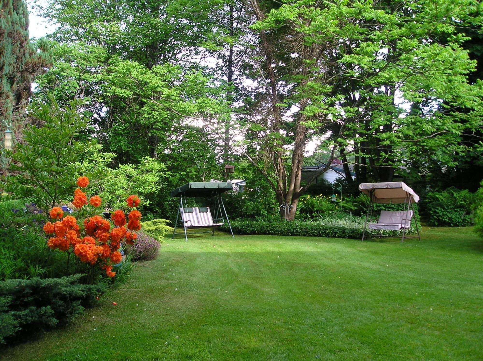 Cedar Wood Lodge Bed & Breakfast Inn Порт Алберни Екстериор снимка